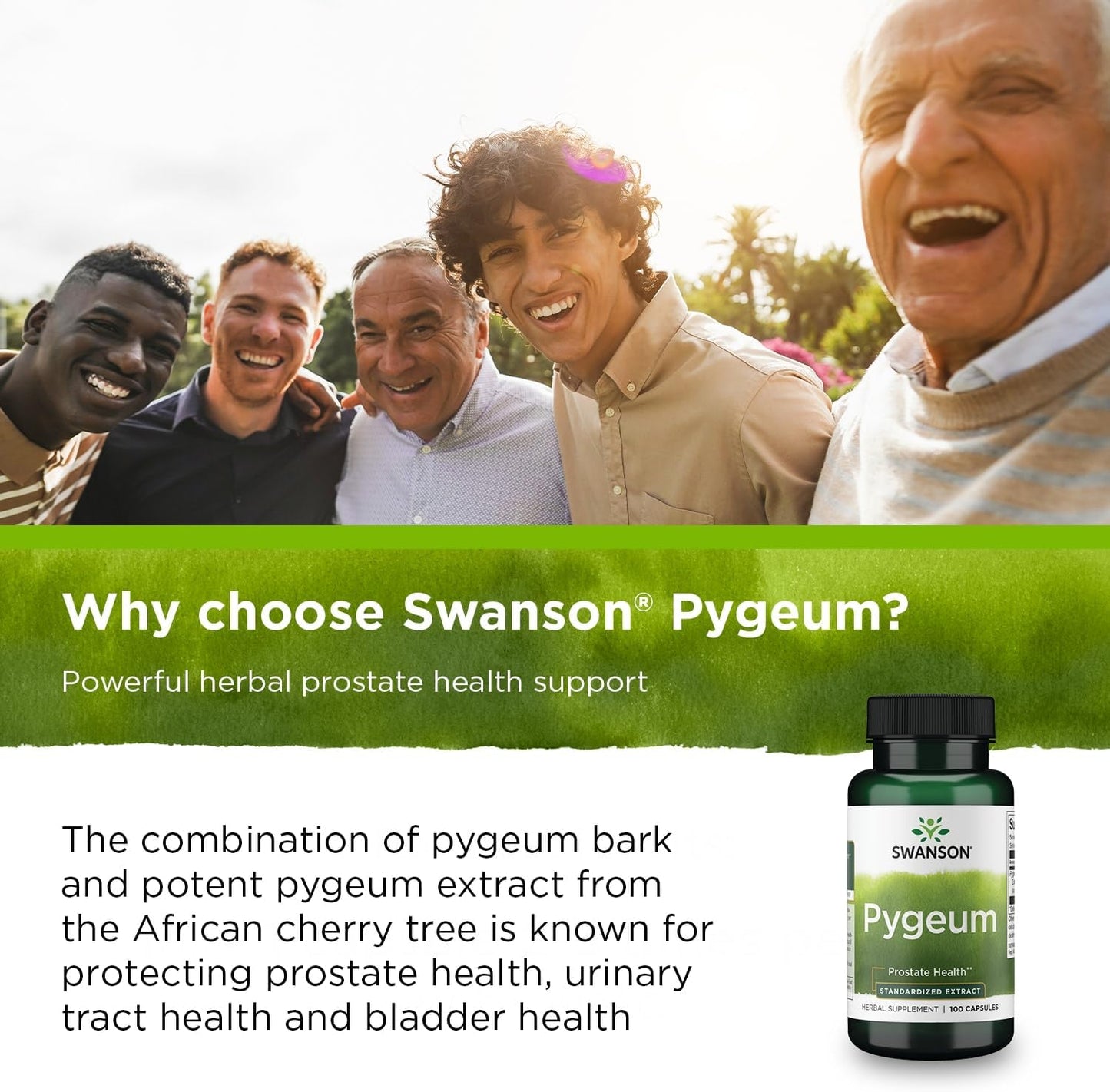 Swanson Pygeum Standardized Extract Herbal Supplement 100 Capsules