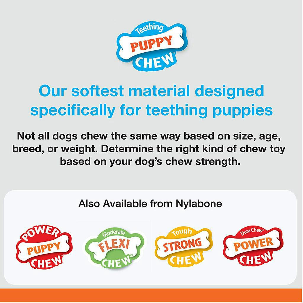 Nylabone Teething Puppy Chew Toys, Chicken Flavor (NDD001)