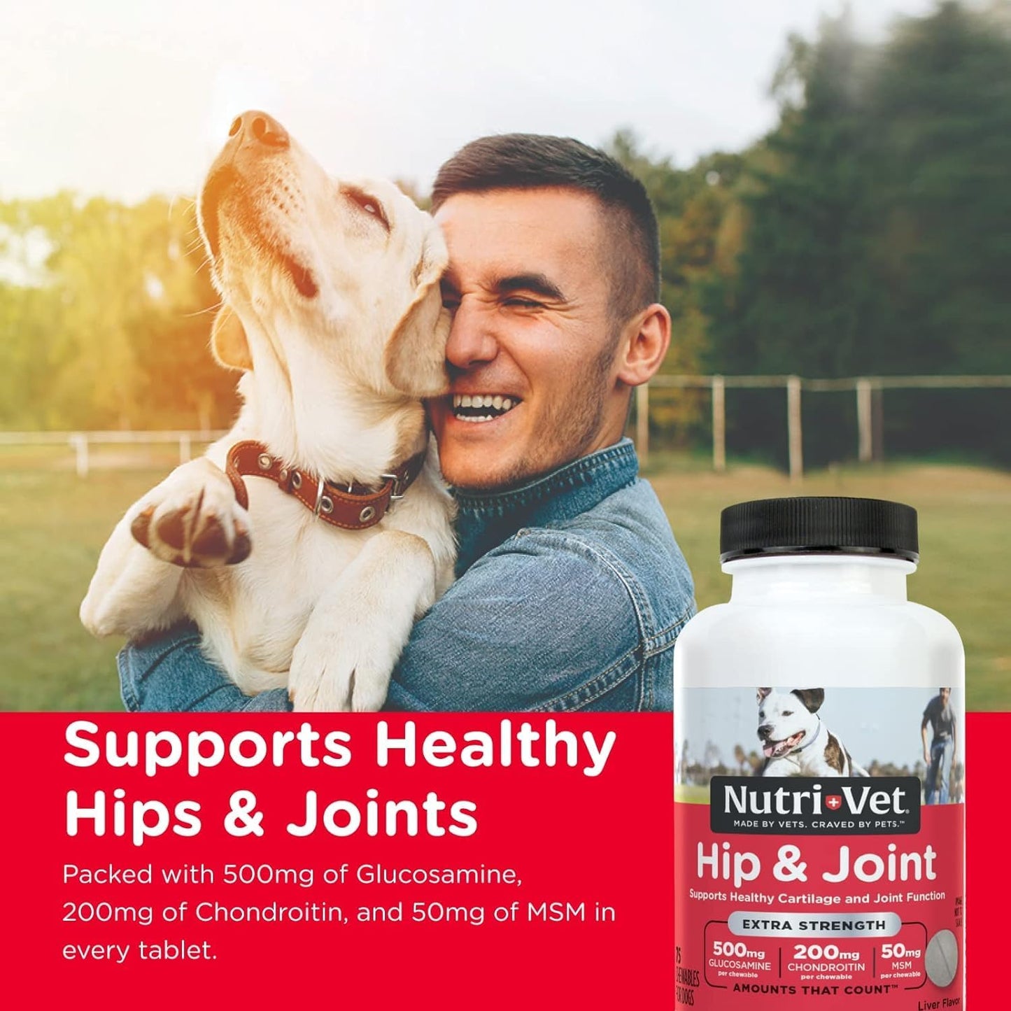 Nutri Vet Hip & Joint Extra Strength Liver Flavor 75 Chewables For Dogs