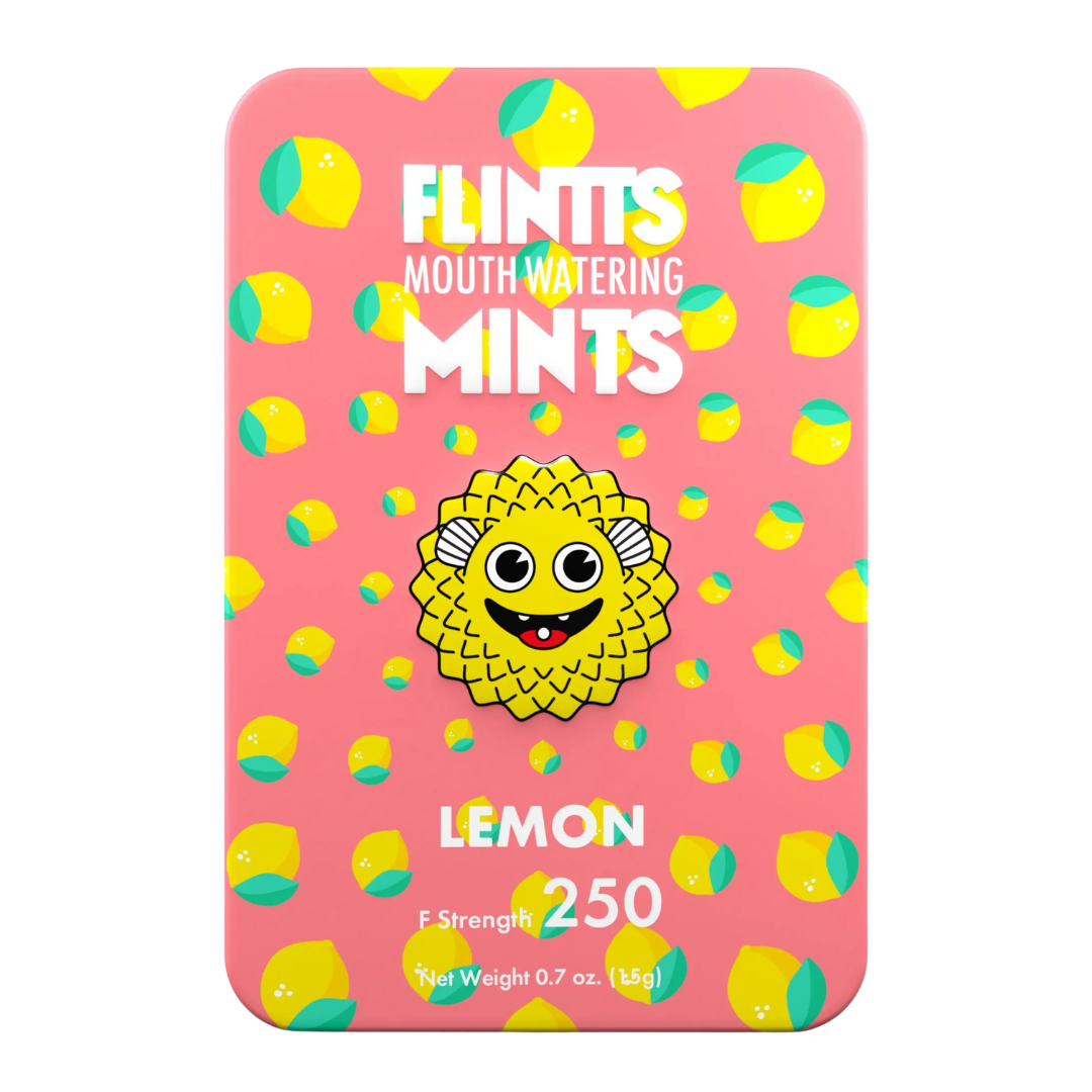 Flintts Mouth Watering Sugar Free Mints 200 Count, 0.7 oz / 15 g