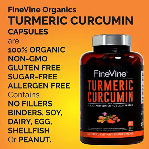 Turmeric Curcumin w BioPerine Black Pepper & Ginger 120 Caps