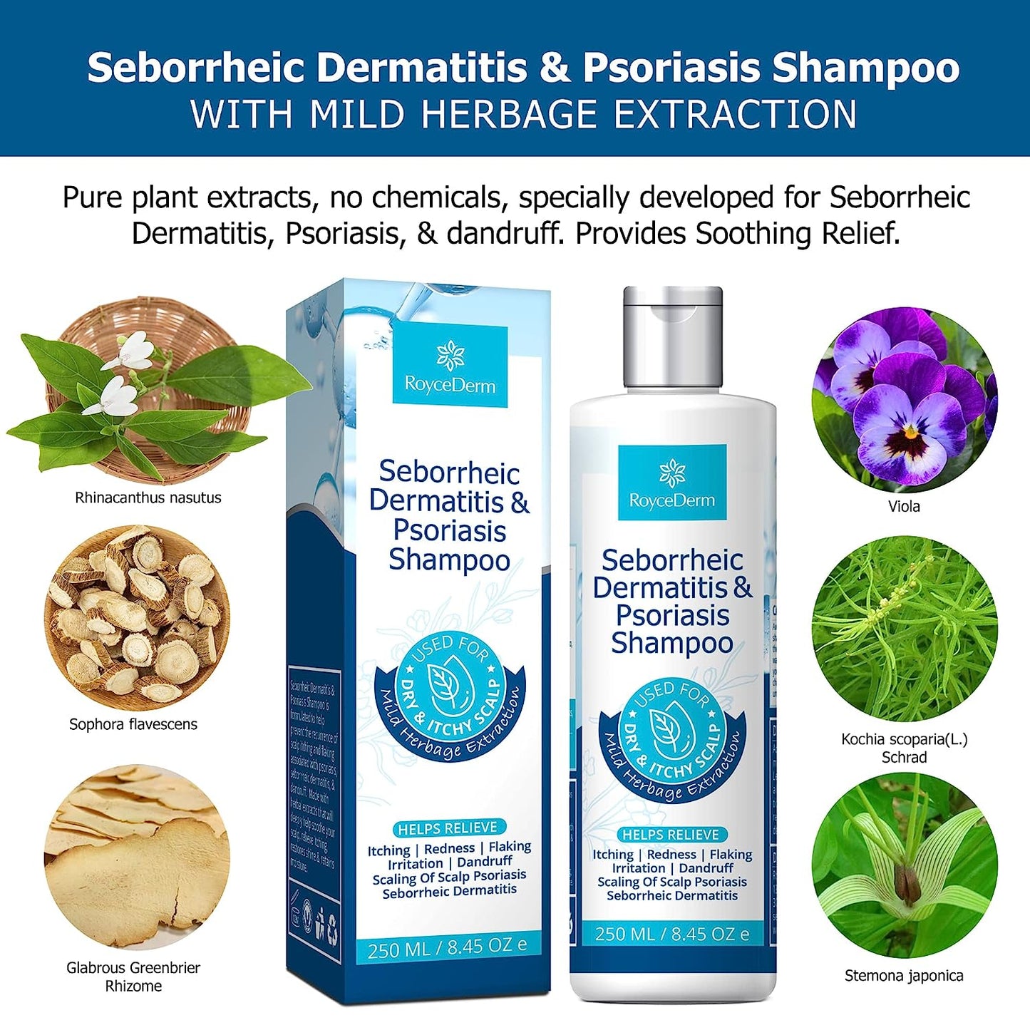 RoyceDerm Seborrheic Dermatitis And Psoriasis Shampoo 250mL / 8.45 oz