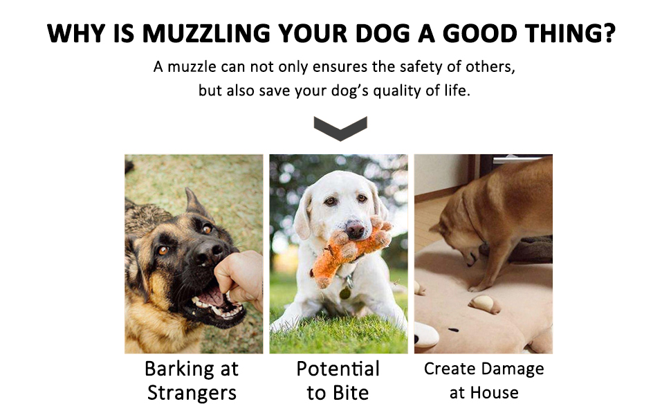 Crazy Felix Breathable Nylon Dog Muzzle with Air Mesh, Gray