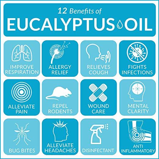 ArtNaturals 100% Pure Eucalyptus Essential Oil - (4.0 Fl Oz / 118ml) - Therapeutic Grade Natural Oils