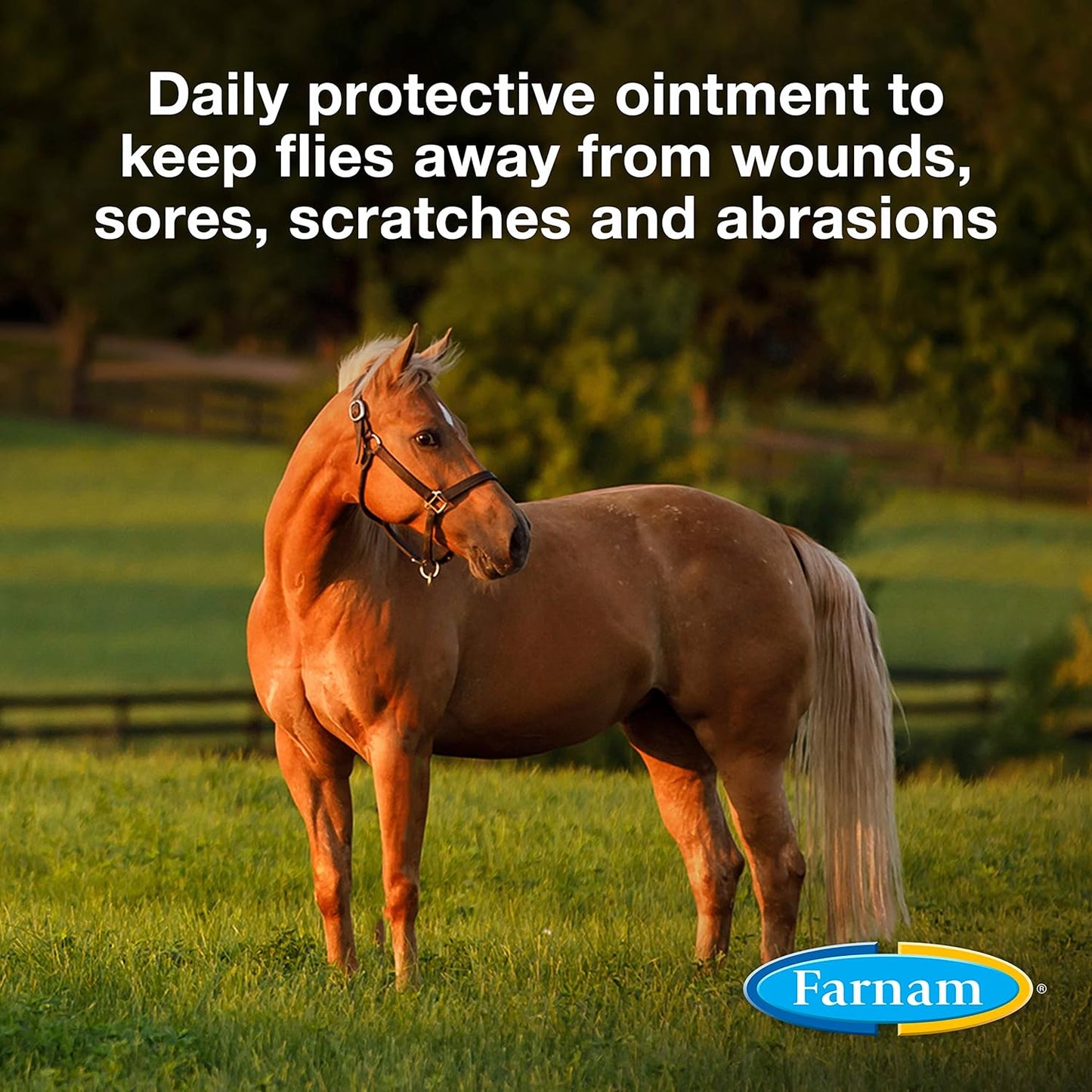 Farnam SWAT Clear Fly Repellent Ointment for Horses, 7 oz