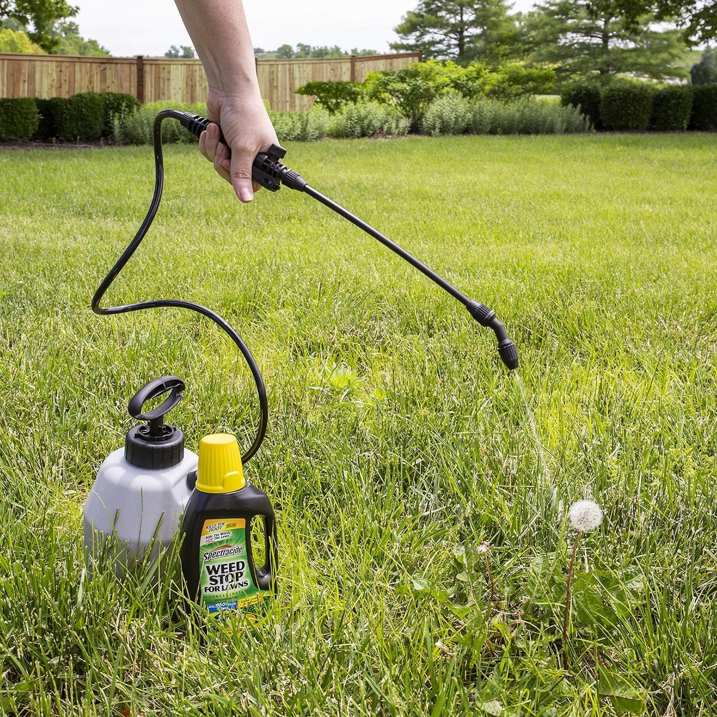 Spectracide Grass Stop For Lawns Concentrate Kills Root 32 fl oz / 946ml