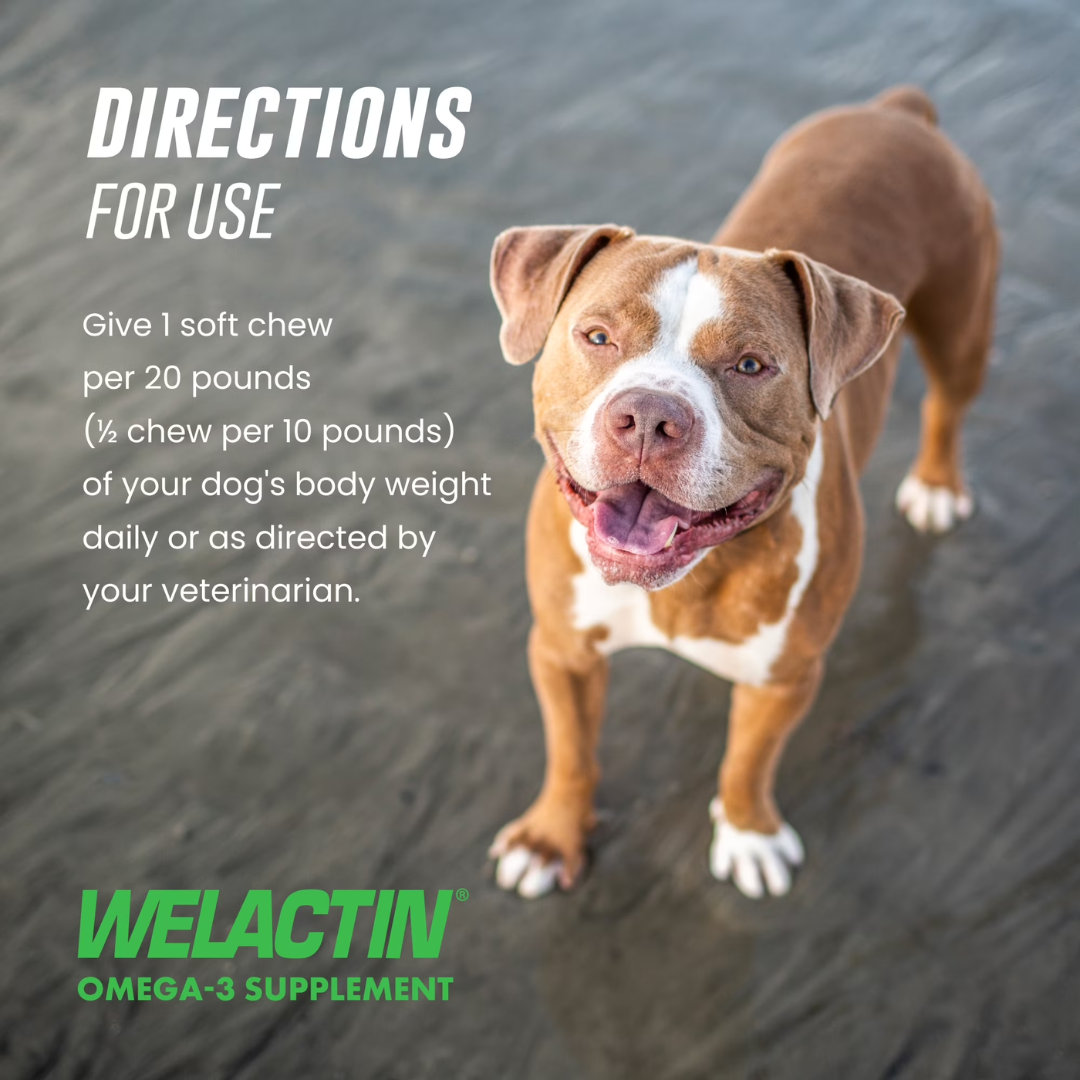 Nutramax Laboratories Welactin Omega-3 Supplement for Dogs, 60 Soft Chews