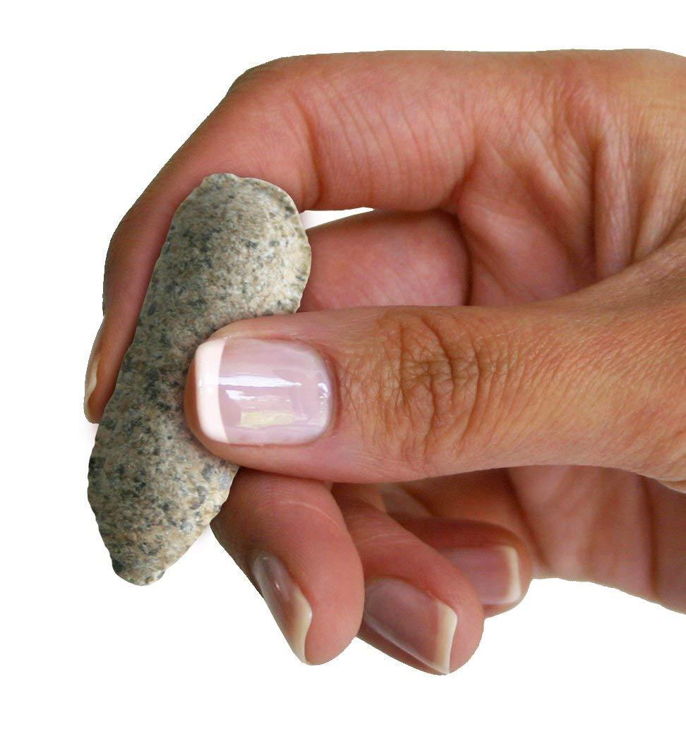 Jobes Organics All Purpose Fertilizer Spikes (50 Spikes)