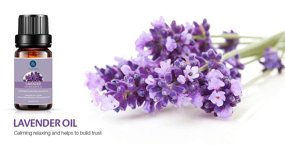 Lagunamoon Lavender 100% Pure Essential Oil, 10ml