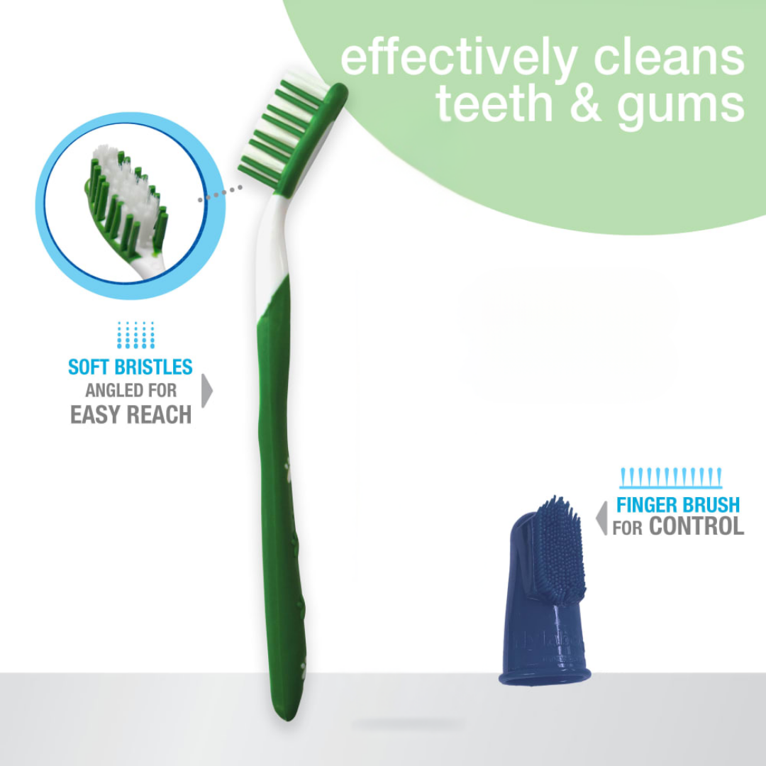 Nylabone Oral Care Puppy Finger Brush and Toothbrush