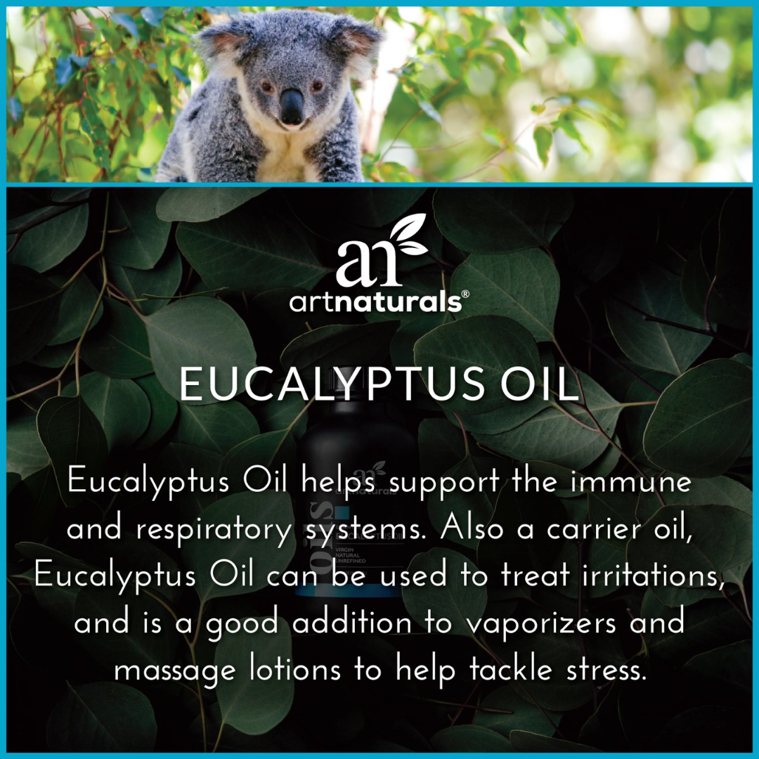 ArtNaturals Eucalyptus Essential Oil, 0.50 oz / 15 ml