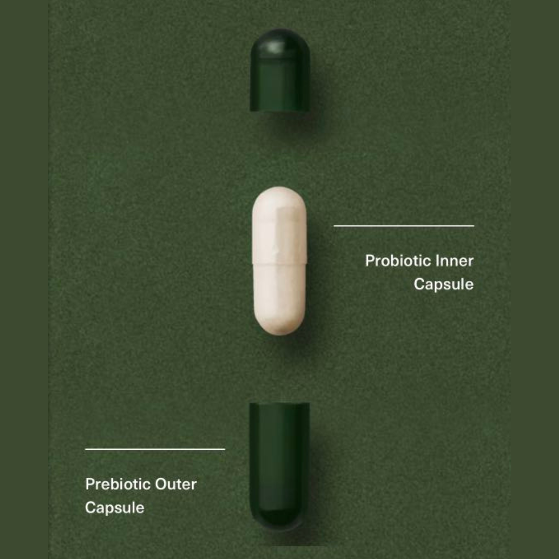 Seed DS - 01 Daily Synbiotic - 30 Day Refill 1 Count