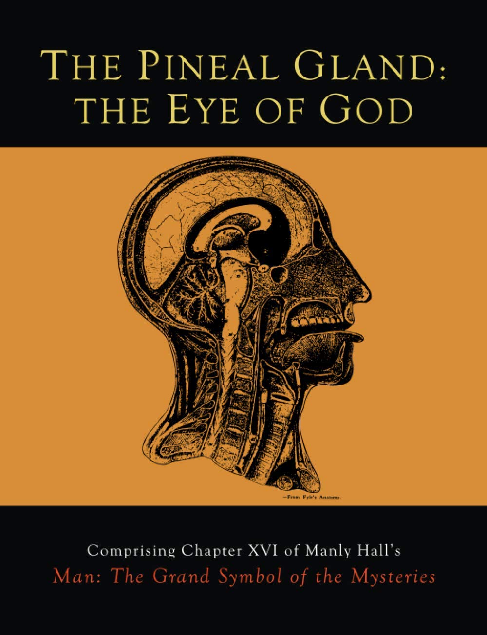 The Pineal Gland: The Eye of God Paperback