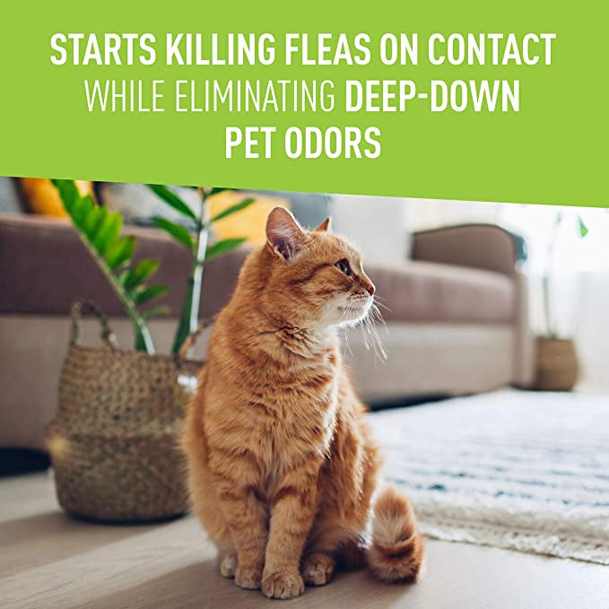 Adams Carpet Powder wih Linalool and Nylar Kills Fleas and Ticks 1 lb (454 g)