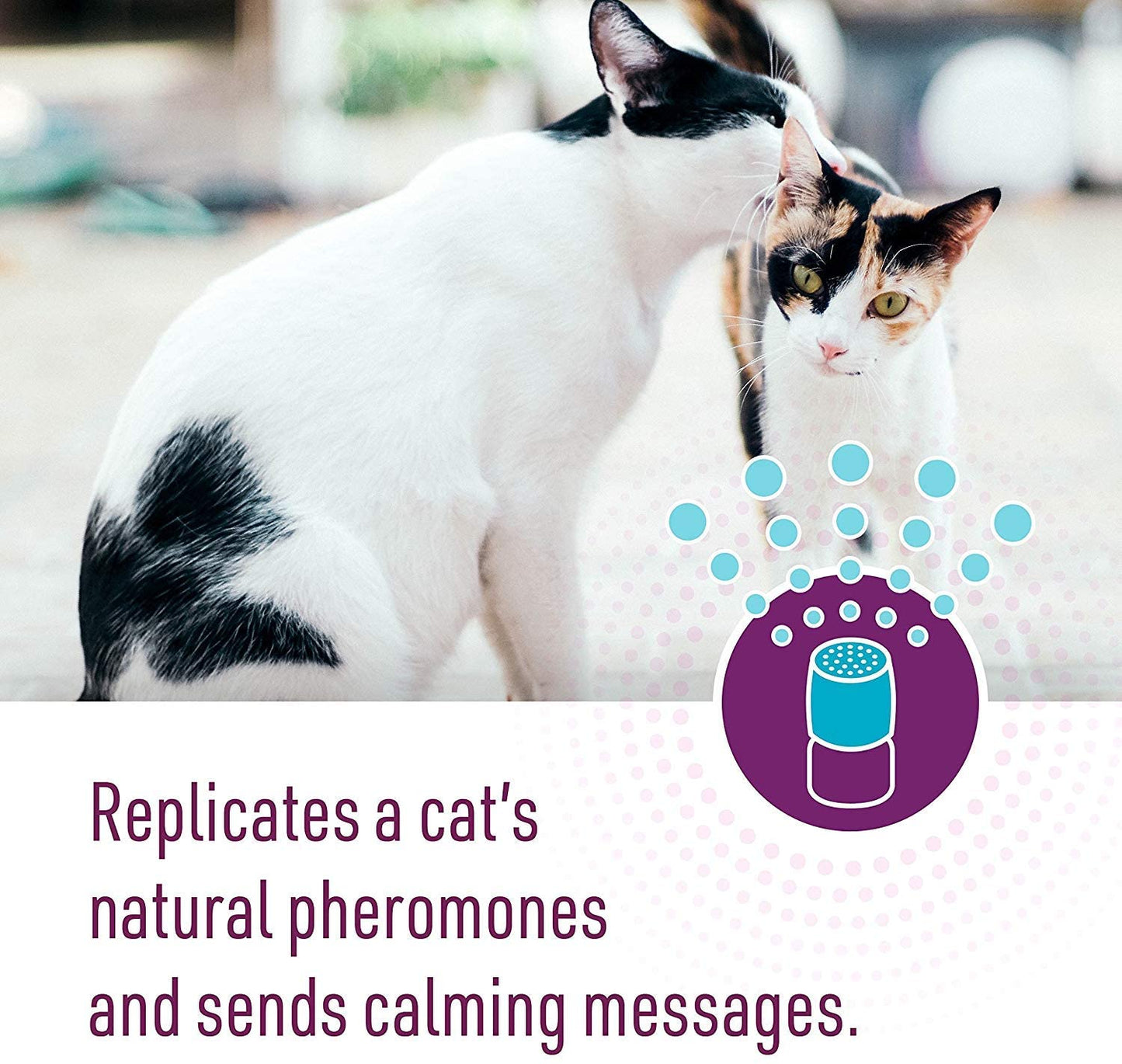 Comfort Zone Multi-Cat Calming Diffuser Refills, 2 Pack (1.62 oz / 48 ml)