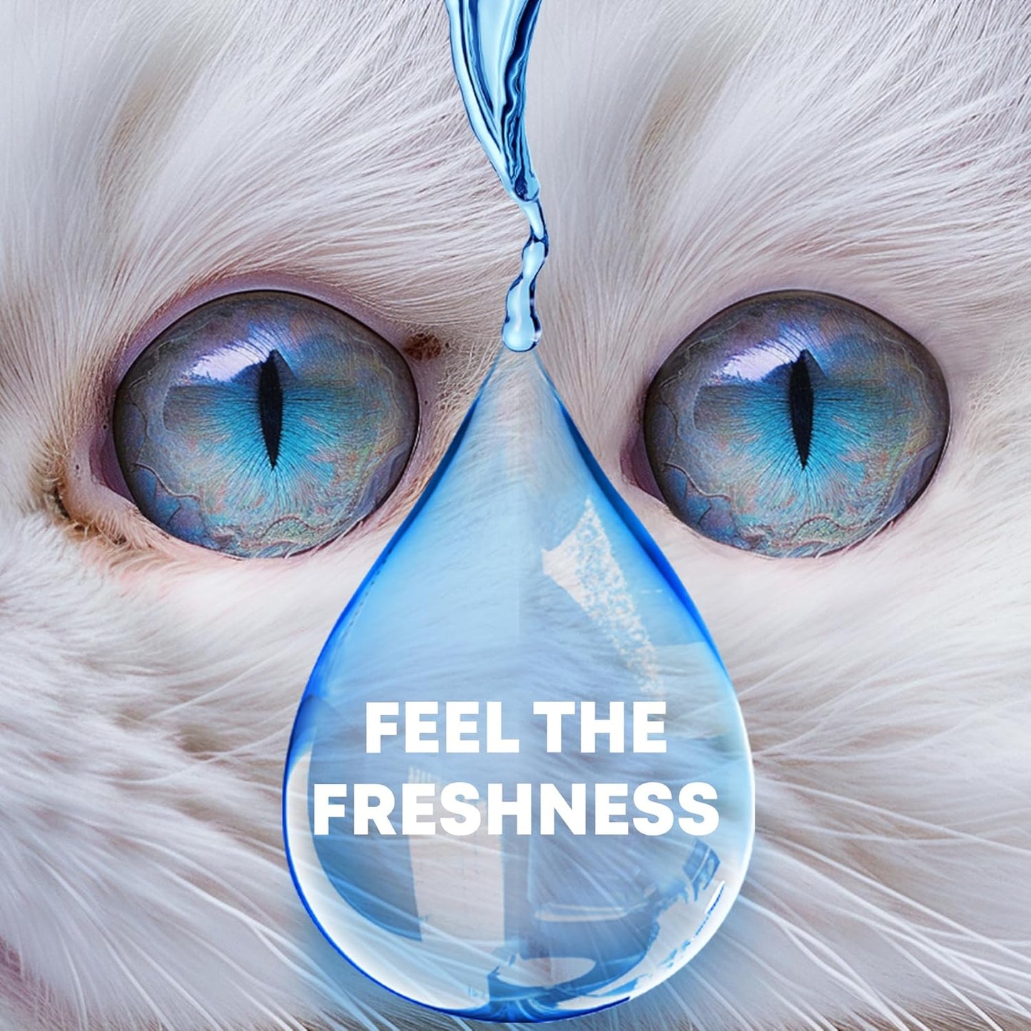 Beloved Pets Eye Wash Removes Tear Stains Cat & Dog, 100 ml / 3.4 fl oz
