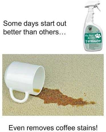 BUBBA'S Super Strength Commercial Enzyme Cleaner Pet Odor Eliminator, Enzymatic Stain Remover, Remove Pet Urine Smell from Carpet, Rug or Hardwood Floor and Other Surfaces (32 fl oz)