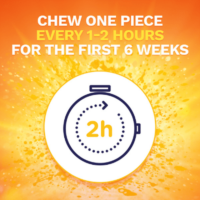 Nicorette Gum 2 mg, Fruit Chill 100 Count