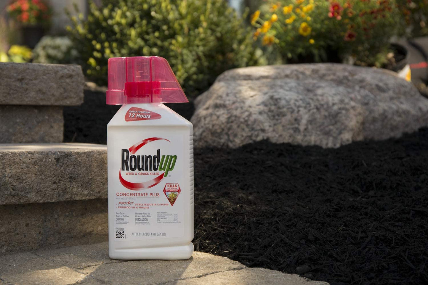 Roundup Grass Killer Concentrate Plus Value Size, 1.08 L / 36.8 fl oz