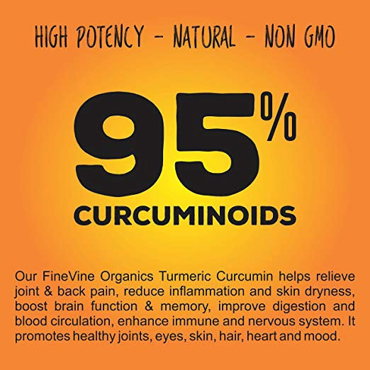 Turmeric Curcumin w BioPerine Black Pepper & Ginger 120 Caps