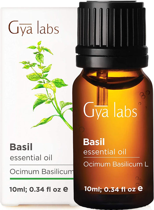 Gya Labs Basil Essential Oil for Focus and Pain Relief, 100% Pure Therapeutic Grade Basil Oil, 0.34 fl.oz / 10ml
