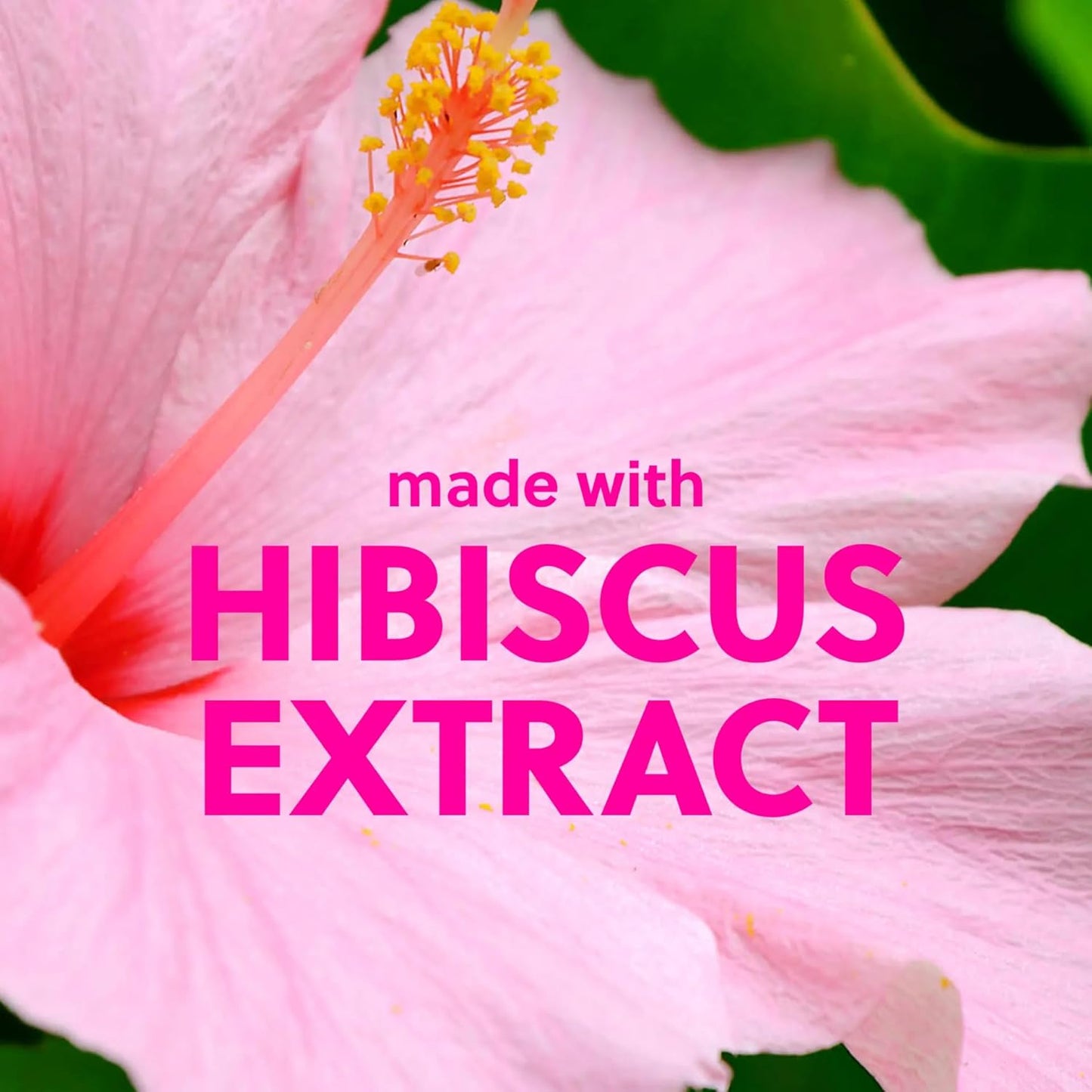 Tree Hut Pink Hibiscus Shea Sugar Scrub 510g / 18oz