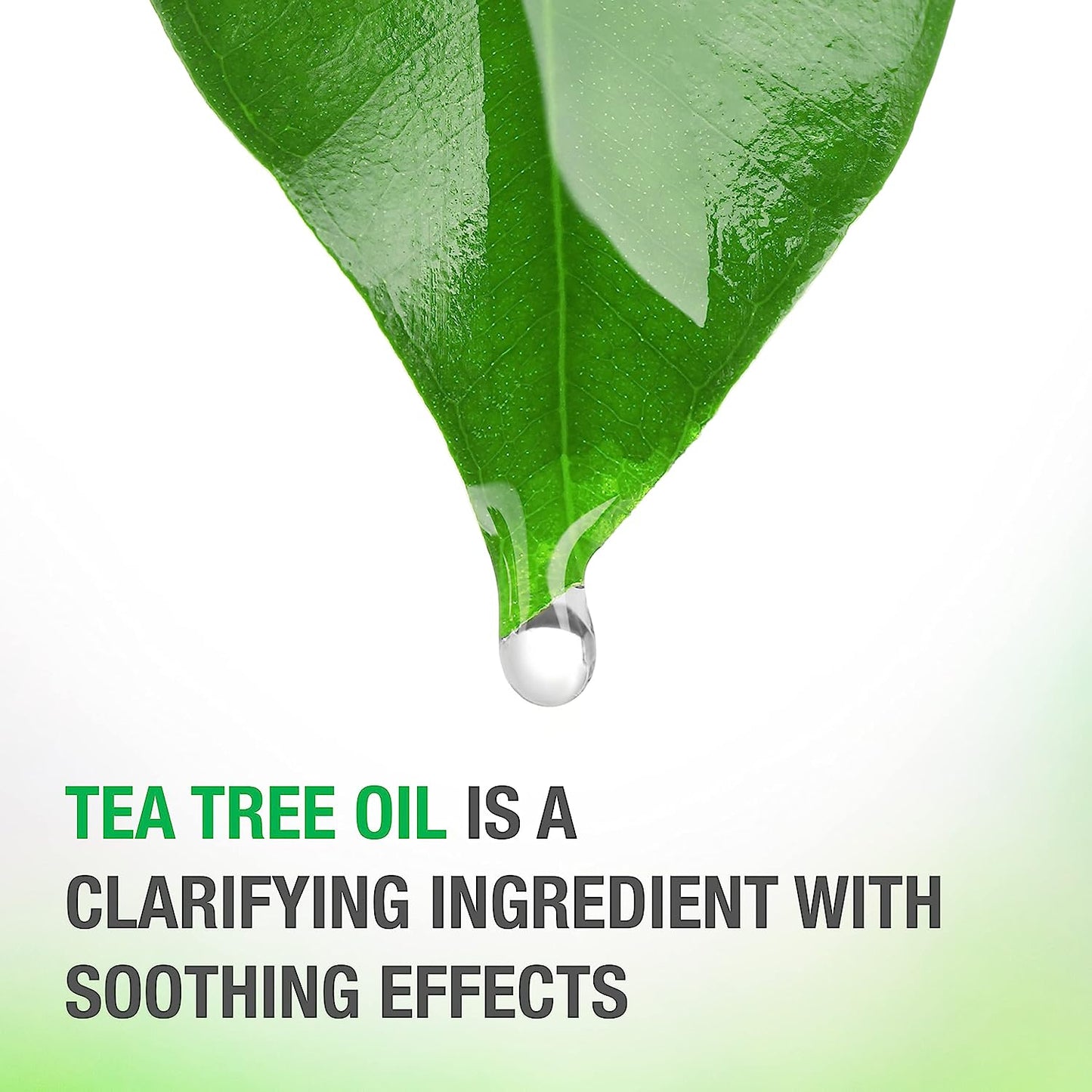 Neutrogena Healthy Skin Soothe & Calm Shampoo with Tea Tree Oil - 354ml / 12 fl oz