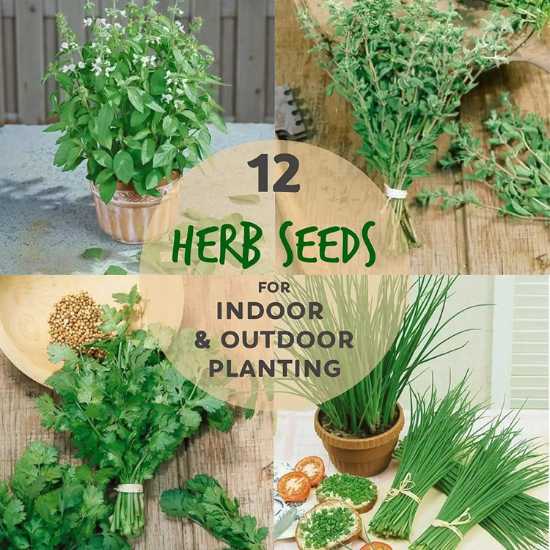 True Leaf Market Premium Seeds Mountain Valley Seed 12 Assorted Culinary Herb Seeds PACKAGING MAY VARY