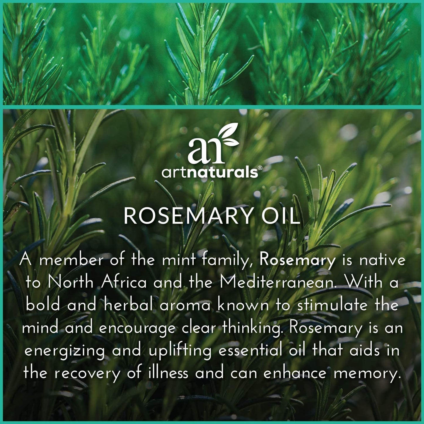 ArtNaturals Rosemary Oil, 100% Pure & Natural Essential Oil, 0.33 fl.oz / 10ml