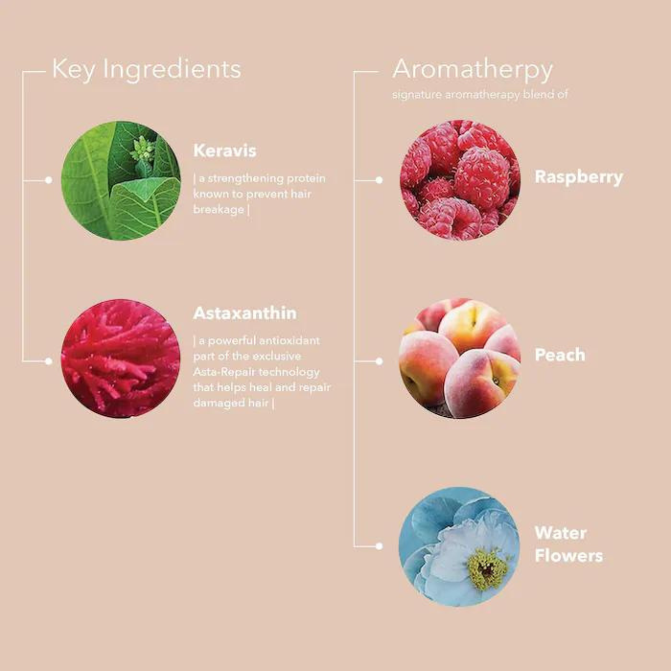 Pureology Professional Color Care Strength Cure Conditioner / Revitalisant