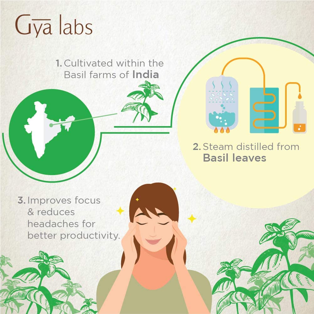 Gya Labs Basil Essential Oil for Focus and Pain Relief, 100% Pure Therapeutic Grade Basil Oil, 0.34 fl.oz / 10ml
