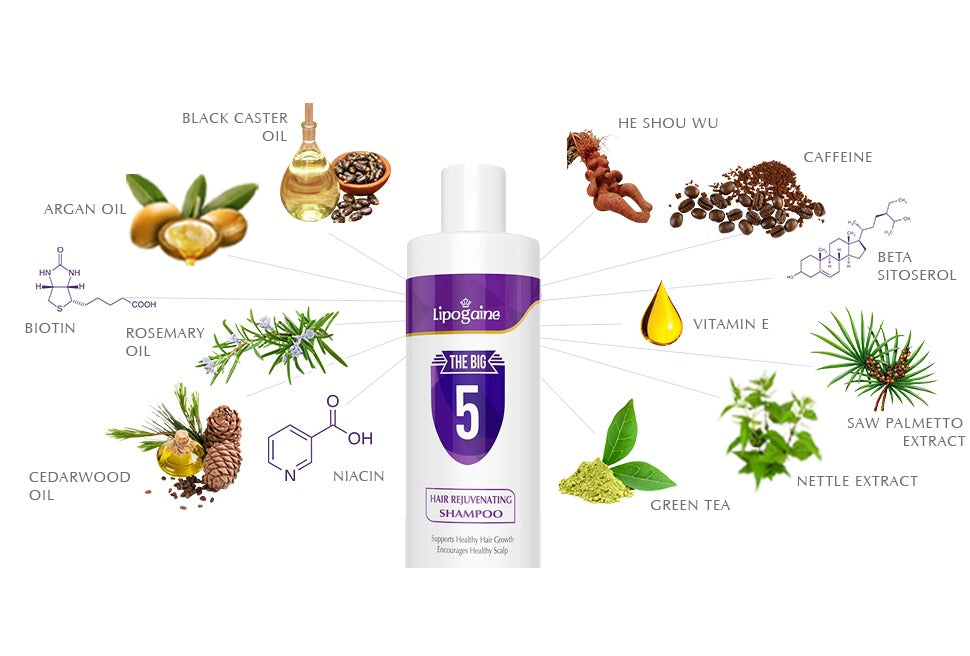 Lipogaine The Big 5 Hair Rejuvenating Shampoo for All Hair Types, Men and Women 236 ml / 8 fl oz