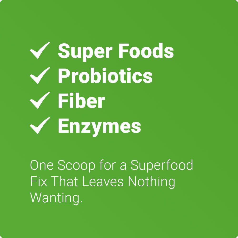 Nested Naturals, Super Greens, Natural Health Powder Original Flavor