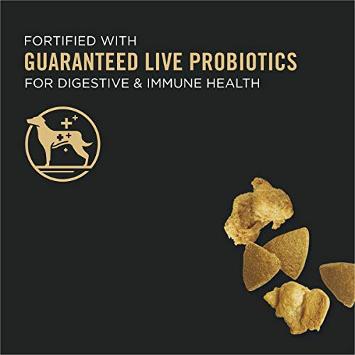 Purina Pro Plan with Probiotics Shredded Blend High Protein, Adult Dog Dry Food, Chicken & Rice Formula, 6 lb.