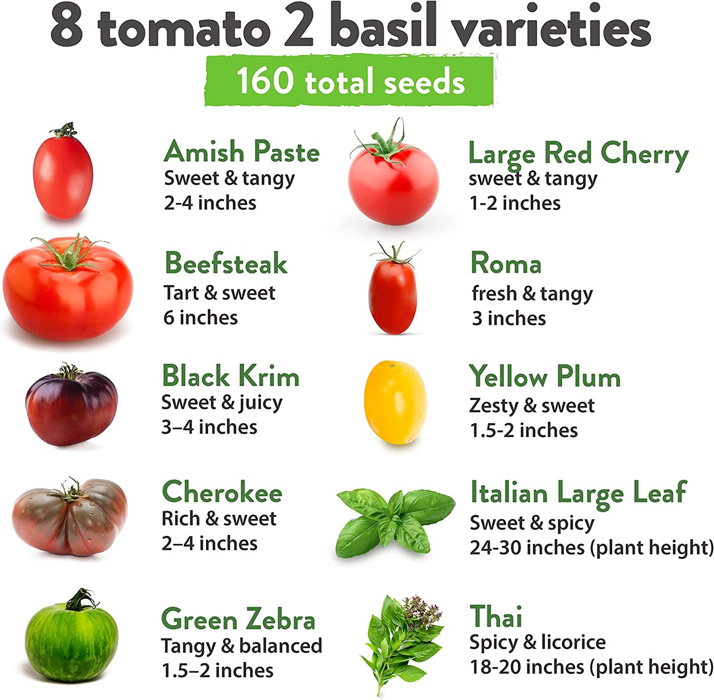 Heirloom Tomato Seeds for Planting (10pk) w/Basil Seeds