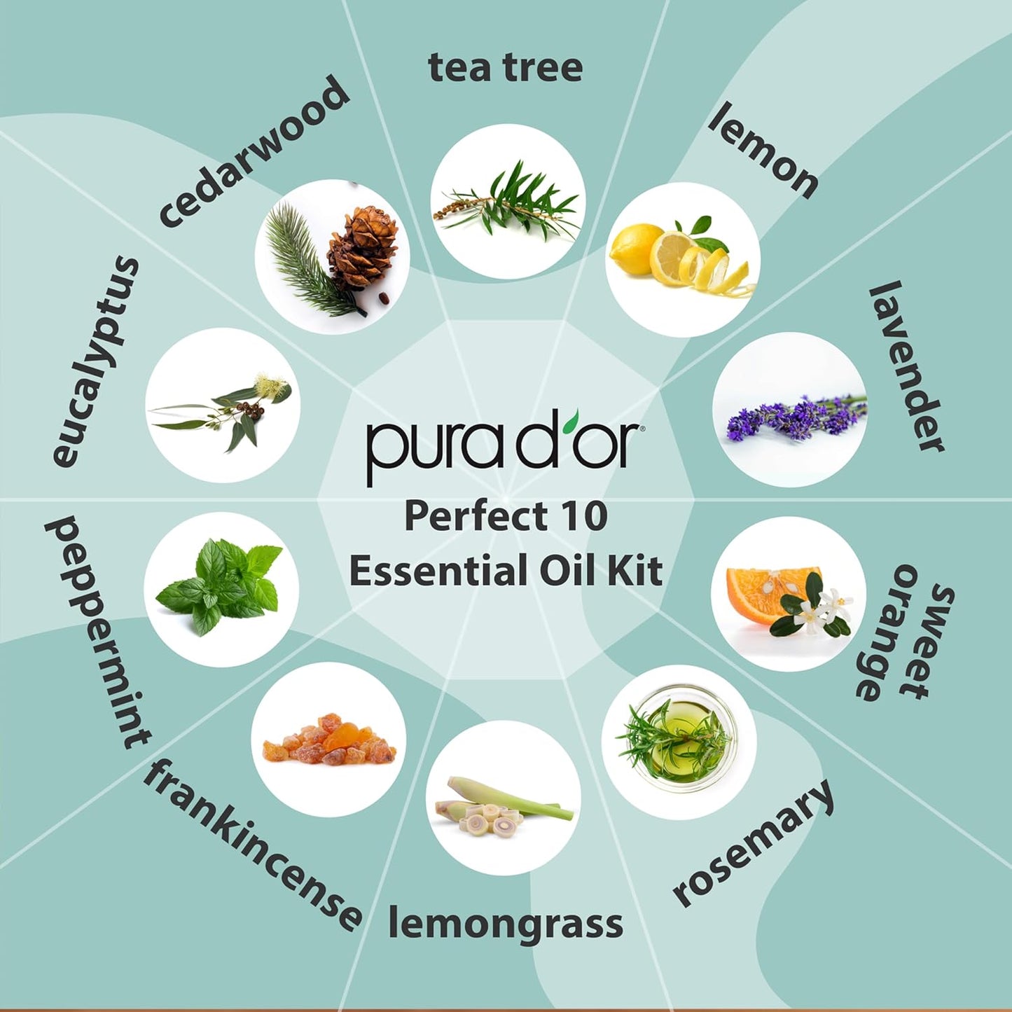 Pura D'or Pure Essential Oil Therapeutic Grace 10ml / .33 fl oz Each