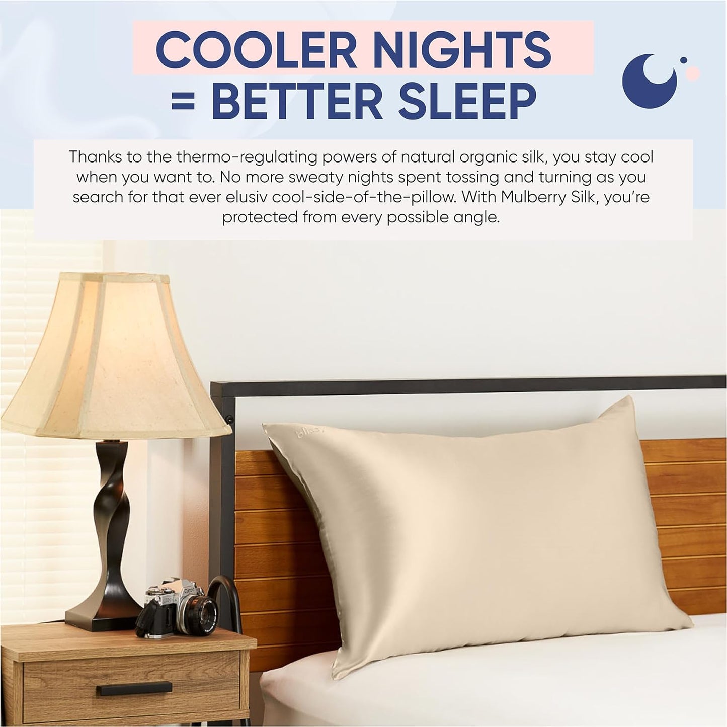 Blissy 100% Pure Mulberry Silk Pillowcase with Hidden Zipper (Queen, Champagne)