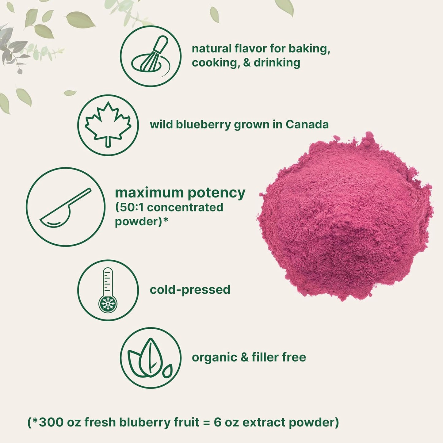 Microingredients Organic Freeze Dried Blueberry Extract Wildberry Supplement 10 oz / 283g
