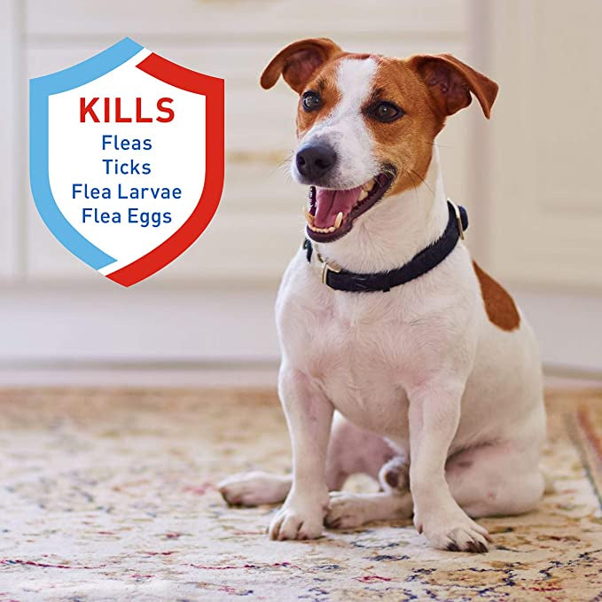 Adams Carpet Powder wih Linalool and Nylar Kills Fleas and Ticks 1 lb (454 g)