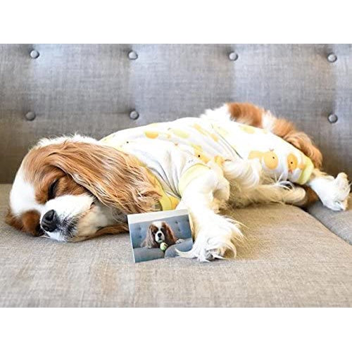 Polaroid 2 x 3ʺ Premium Zink Photo Paper, 50 Sheets (PACKAGING MAY VARY)