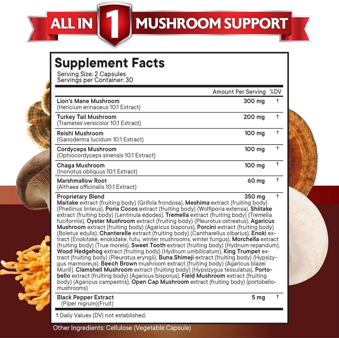 New Age Lions Mane, Turkey Tail, Reishi, Chaga & Cordyceps All in 1 Mushroom Support Supplement 60 Capsules