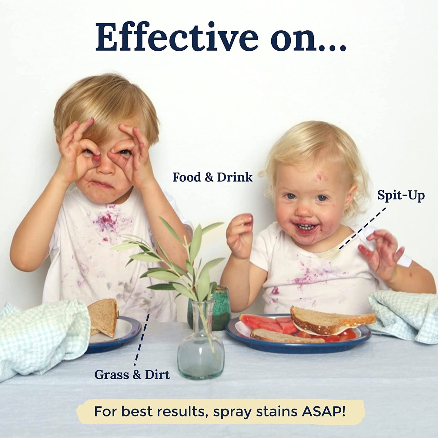 Hate Stains Miss Mouth's Messy Eater Stain Treater General Purpose Stain Remover 118 mL