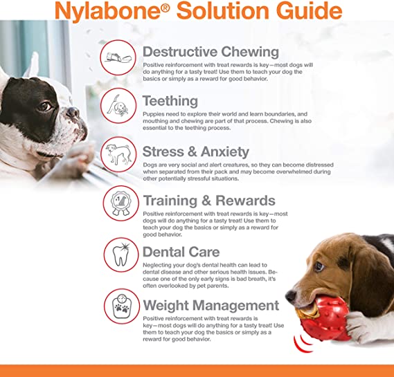 Nylabone Flavored Durable Chew Toy Original for Small Dogs, 25lbs / 11kg NR102P