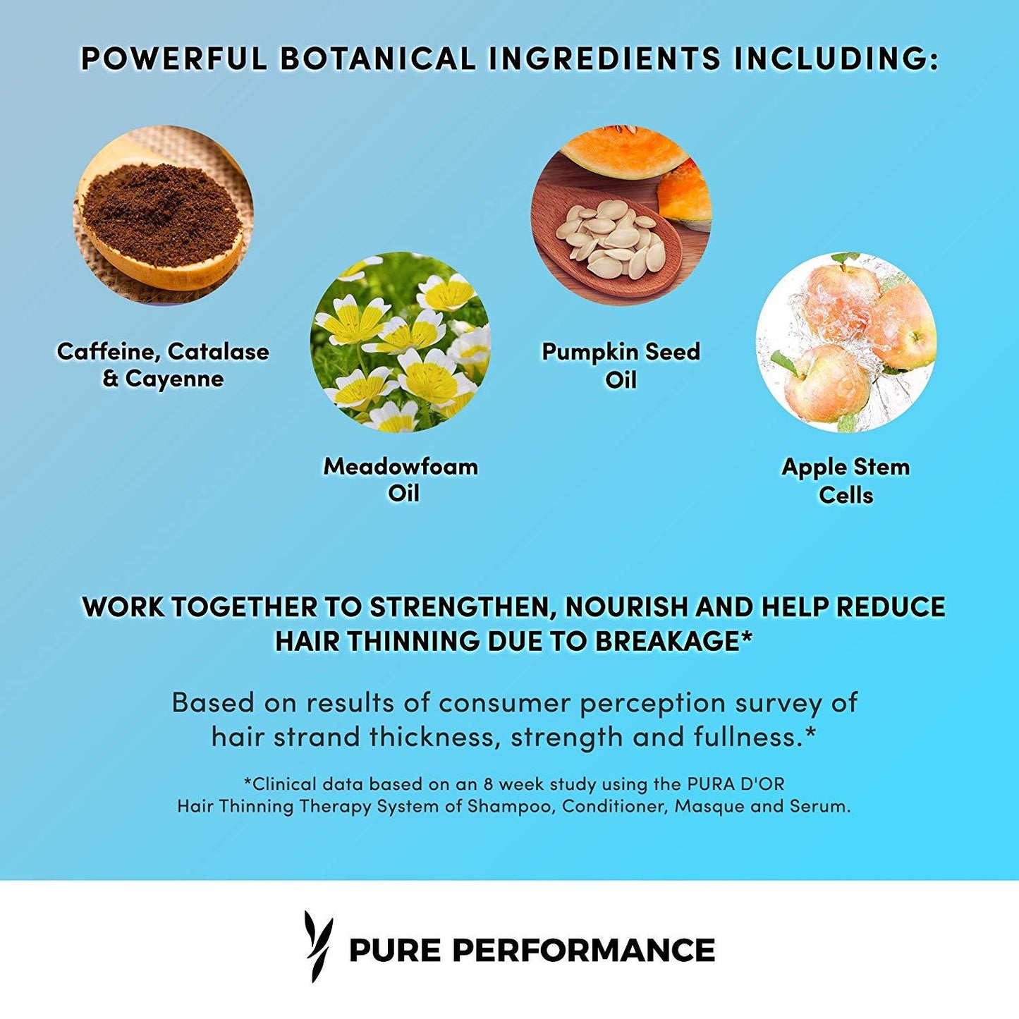 PURA D'OR Hair Thinning Therapy Shampoo, Reduces Hair Thinning (16 fl.oz / 473 ml)