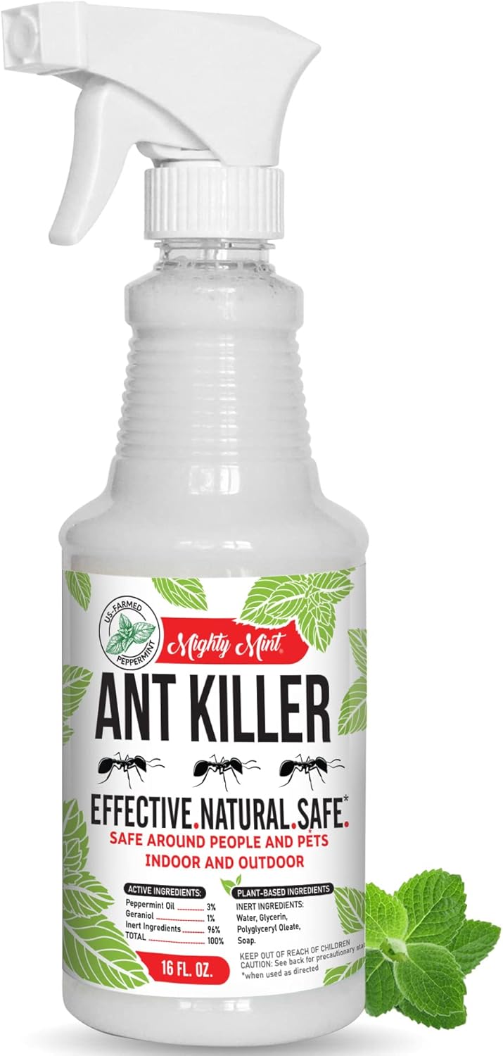 Mighty Mint Ant Killer For Indoor And Outdoor, 16 fl oz