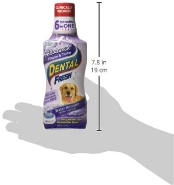 Dental Fresh Advanced Plaque and Tartar Water Additive 8 fl. oz. 237 ml