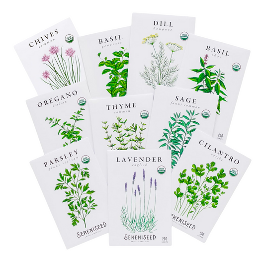 Sereniseed Artful Gardening Herb Seeds for Indoor & Outdoor Planting 10 Pack