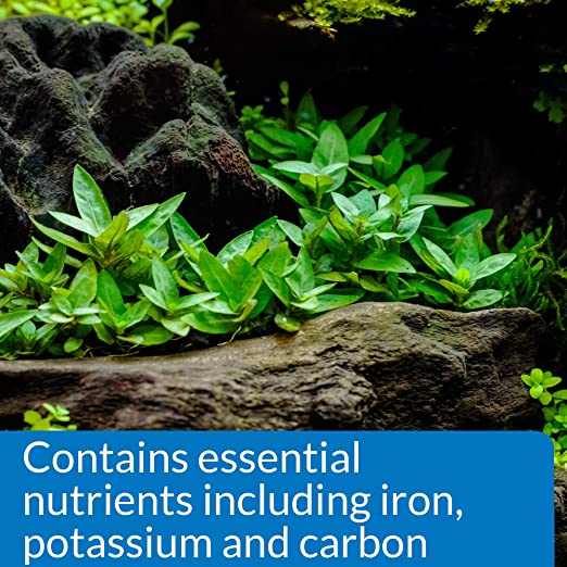 API Root Tabs Promotes Lush Growth Of Aquarium Plants Plant Care 10 Ta ...