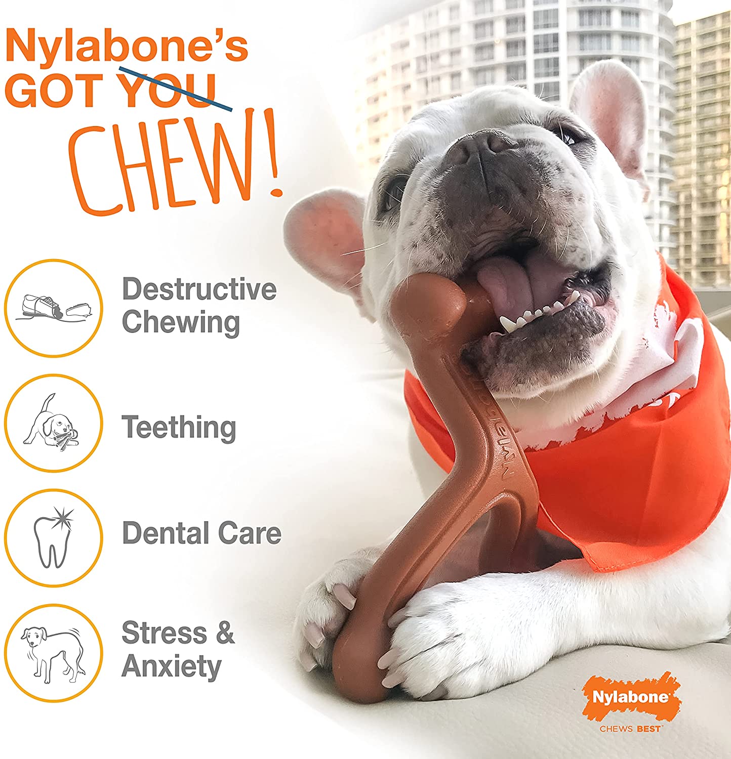 Nylabone Dura Chew Classic Twin Pack Power Chew Chicken & Bacon Flavor for Dogs Up to 35 lbs. / 16kg (NVD003VPP)