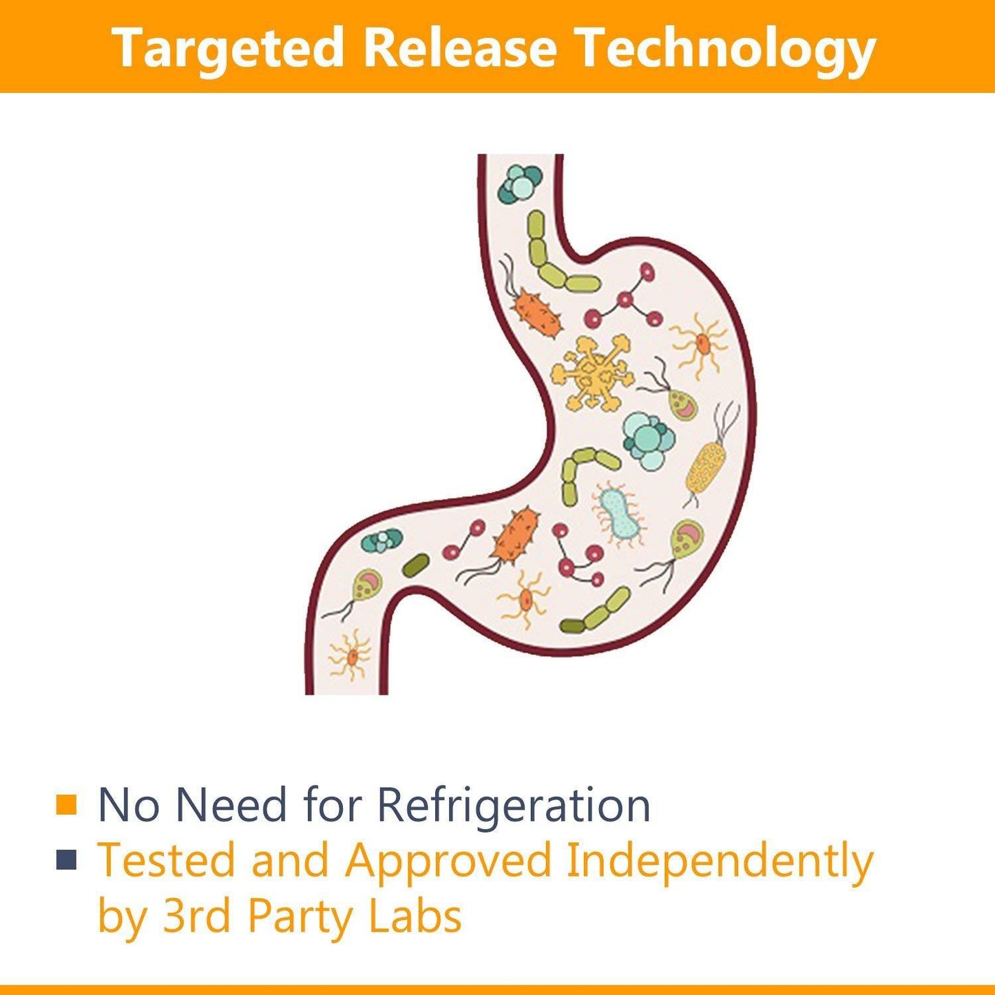 NewRhythm Probiotics 20 Strains, 50 Billion CFU, 60 Caps